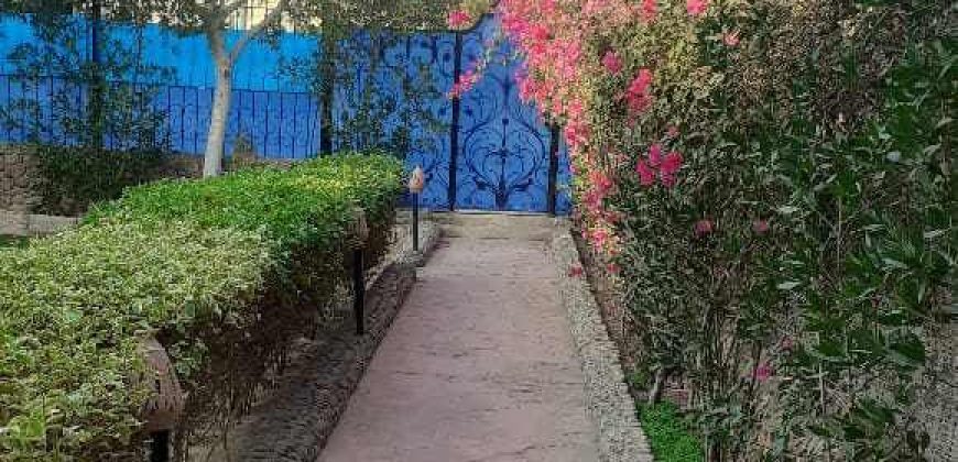 Villa in Magawish, private pool and separate studio